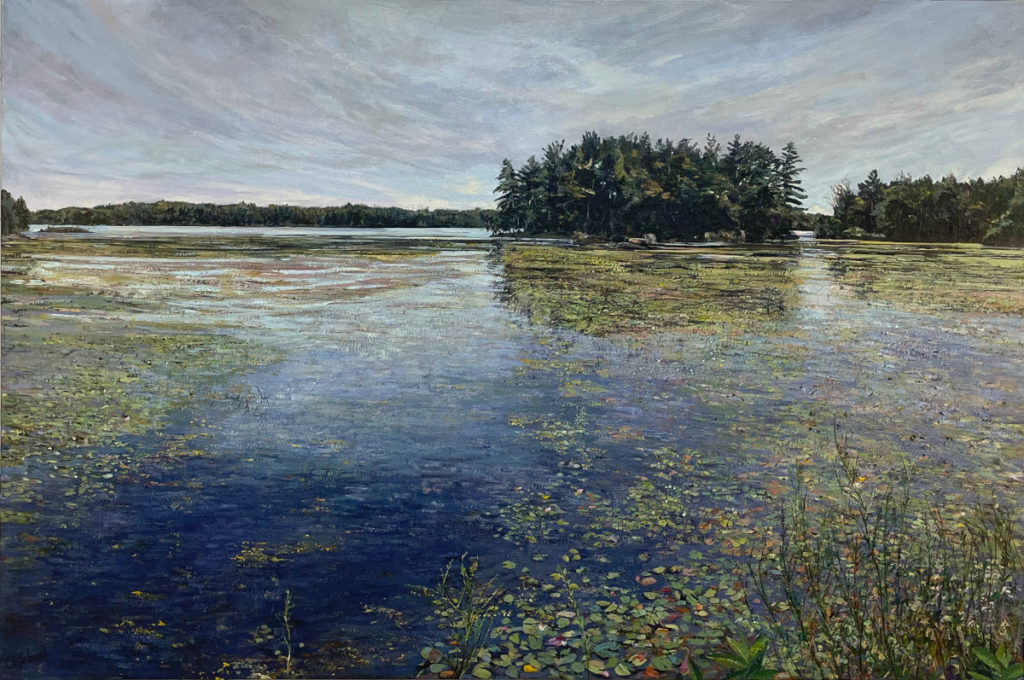 Rideau Lakes, Ontario, Waterlilies