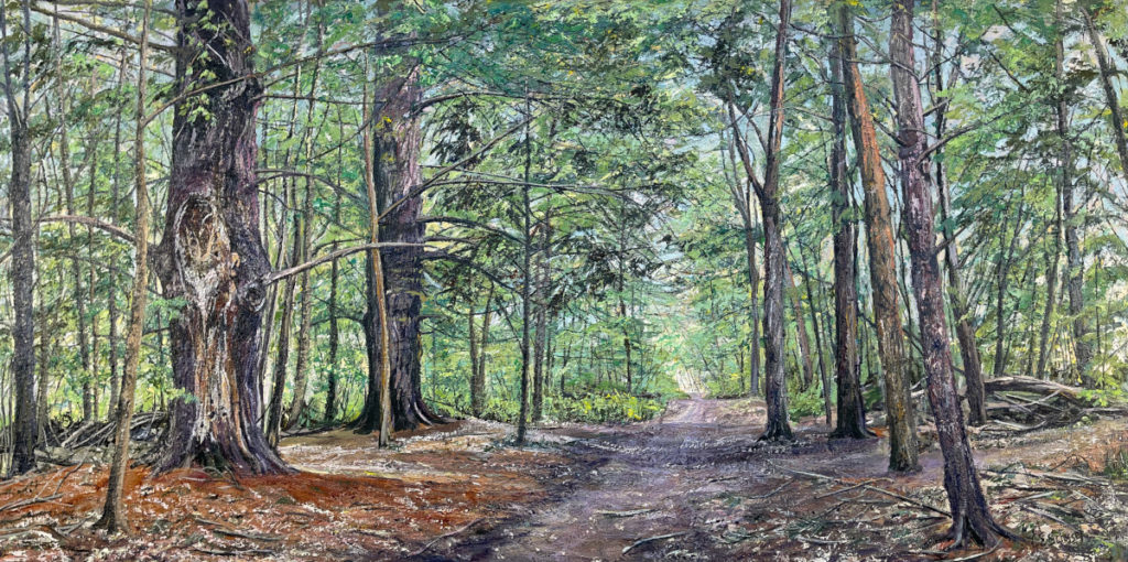 Forest, Old Growth, Arnprior, Gillies Grove